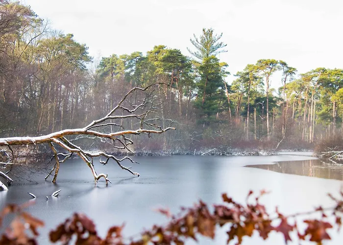 Fully Equipped Apartment, Lovely Bed